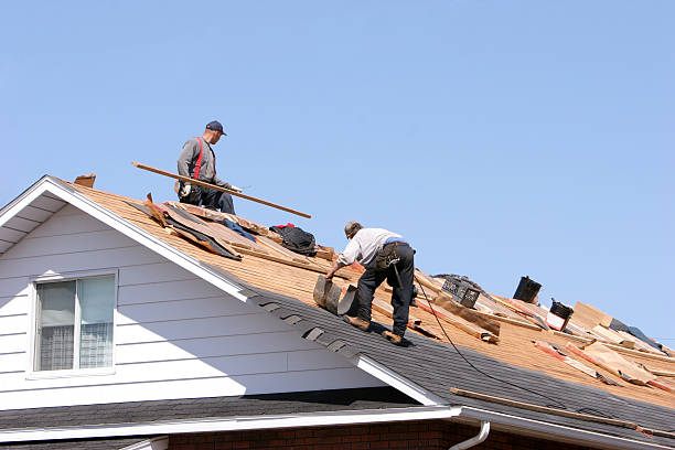 Steel Roofing in Marquette Heights, IL